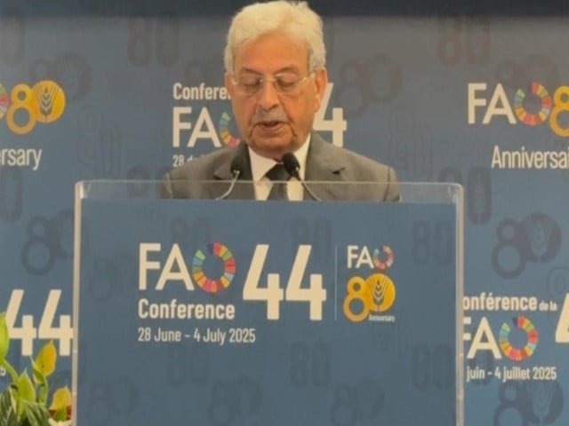 FAO affirms continuous support for agri-reforms