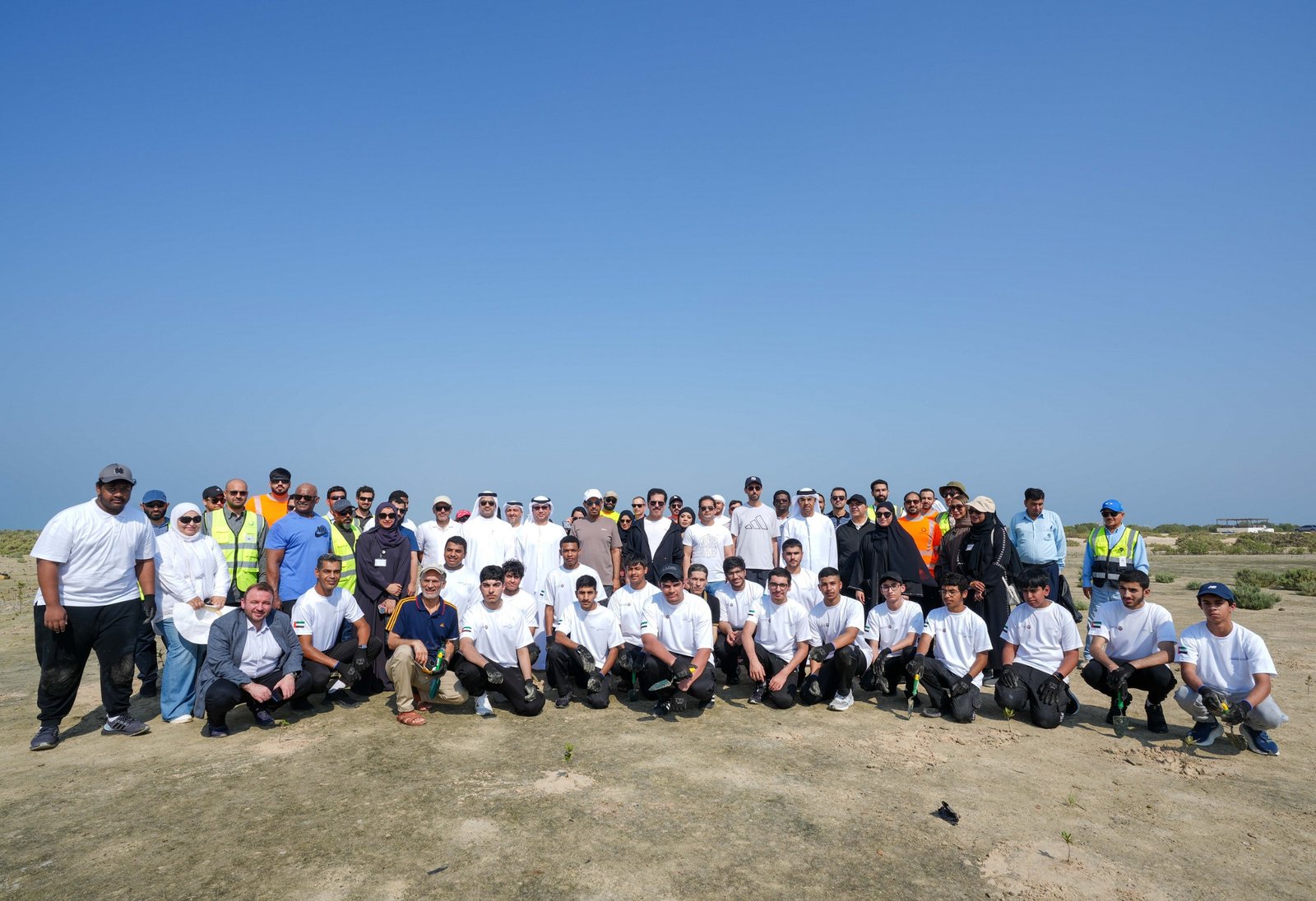 DEWA plants 13,350 mangrove trees in collaboration with Emirates Marine Environmental Group - UAE