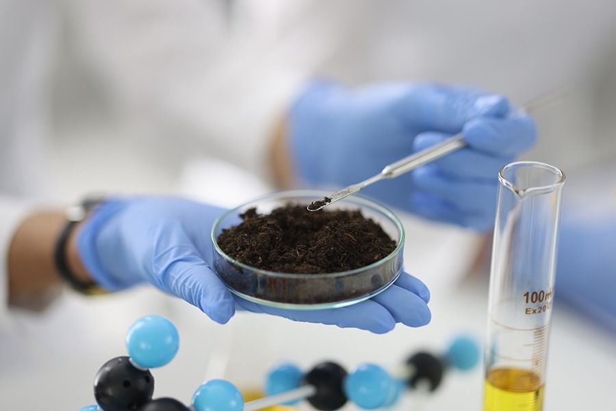 Scientific study reveals promising prospects for sustainable agriculture in UAE - UAE