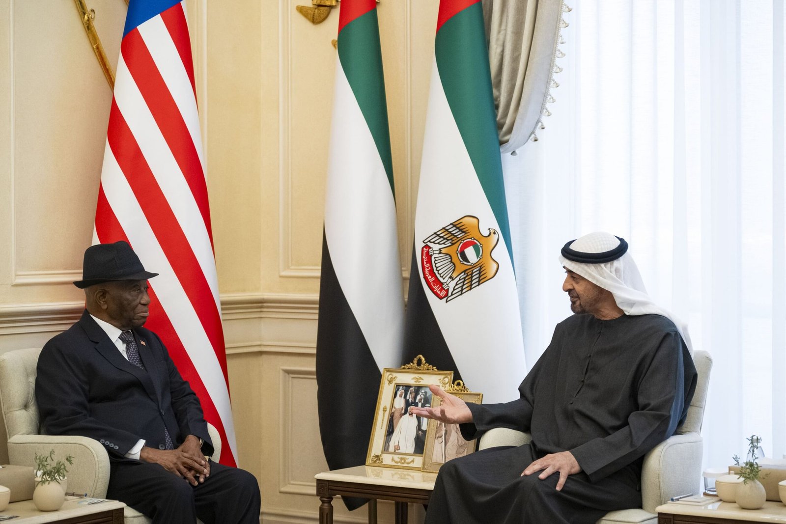 UAE and Liberian Presidents Hold Talks to Strengthen Bilateral Ties - UAE