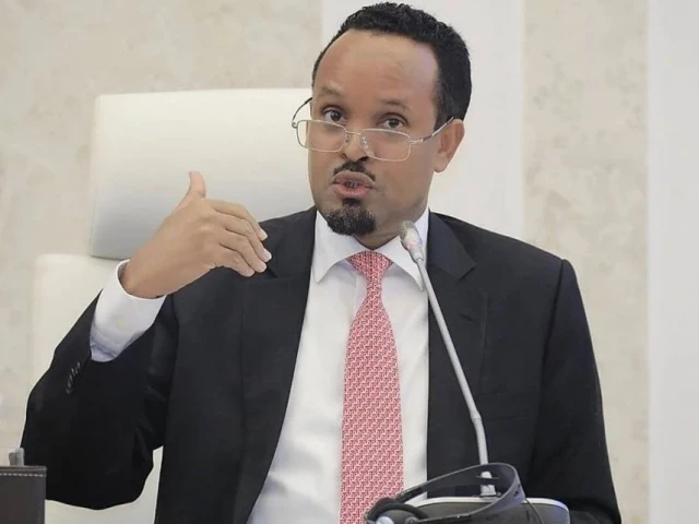 ahmed shide ethiopia finance minister photo f ile