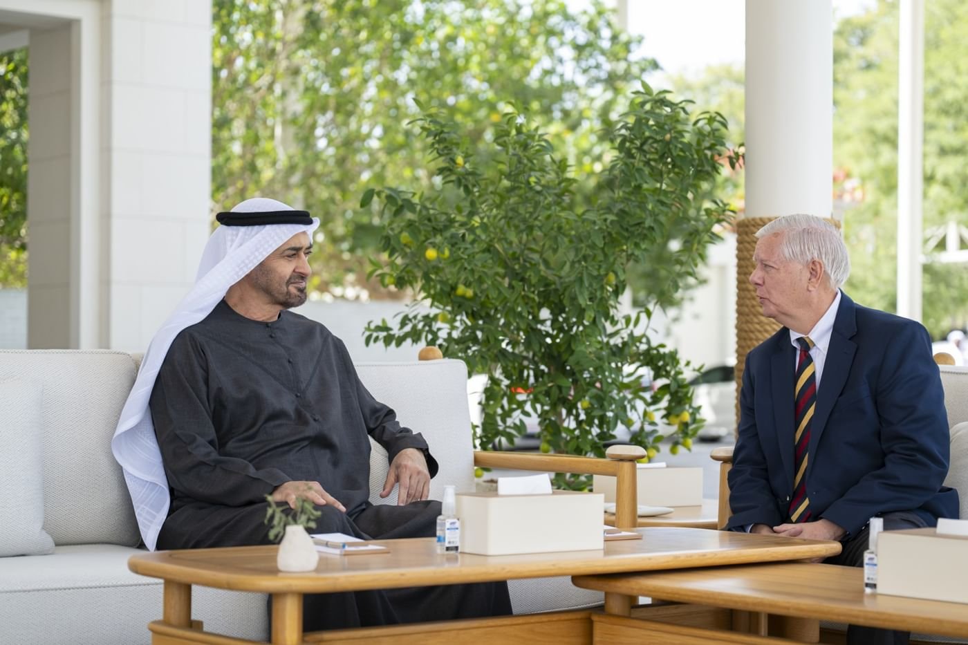 UAE President and US Senator Lindsey Graham Discuss Regional Security Ties - UAE