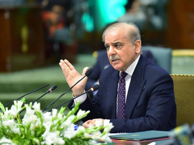 prime minister shehbaz sharif addresses the special of the federal cabinet in islamabad pakistan on march 4 2025 photo pid file