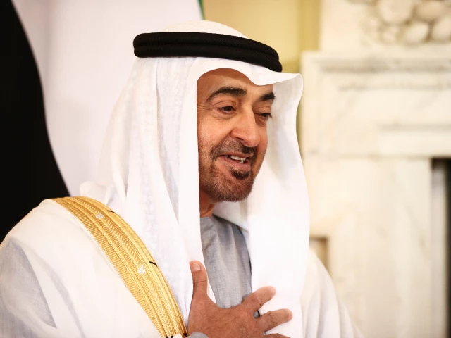 the uae has thick skin and bitter flesh   we are no easy prey mohammed bin zayed al nahyan who is also ruler of abu dhabi photo reuters