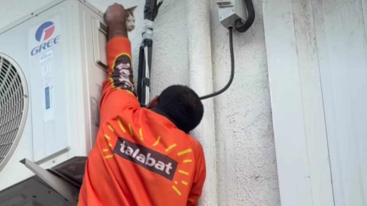 Dubai spirit shines again: talabat rider rescues stranded cat in heartwarming viral moment