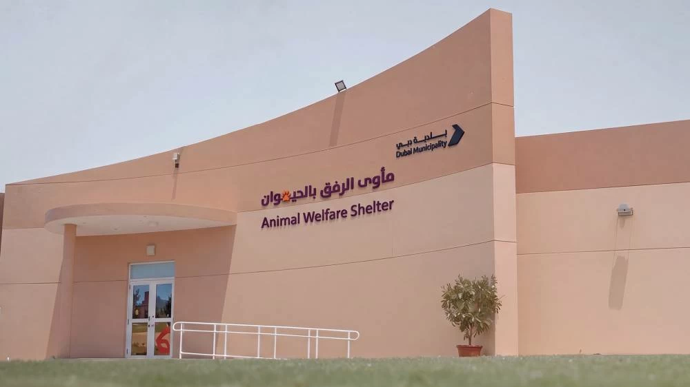 In line with the Dubai Civility Committee’s objectives to preserve Dubai’s urban appearance, the integrated shelter provides veterinary treatment, rehabilitation, grooming and adoption services within a modern, purpose-built environment.