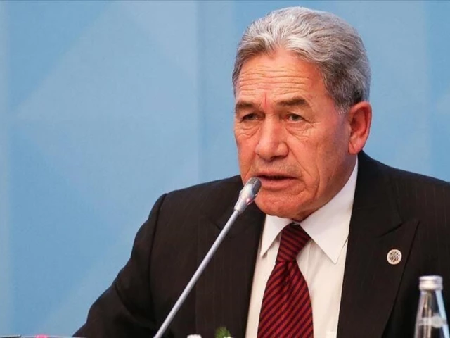 new zealand foreign minister winston peters photo anadolu agency