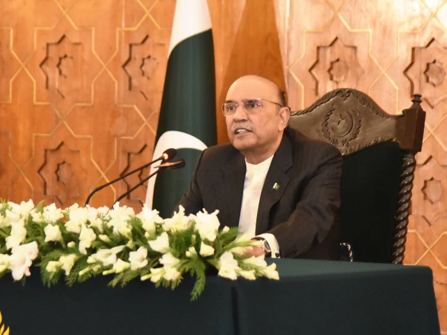 president asif ali zardari photo x