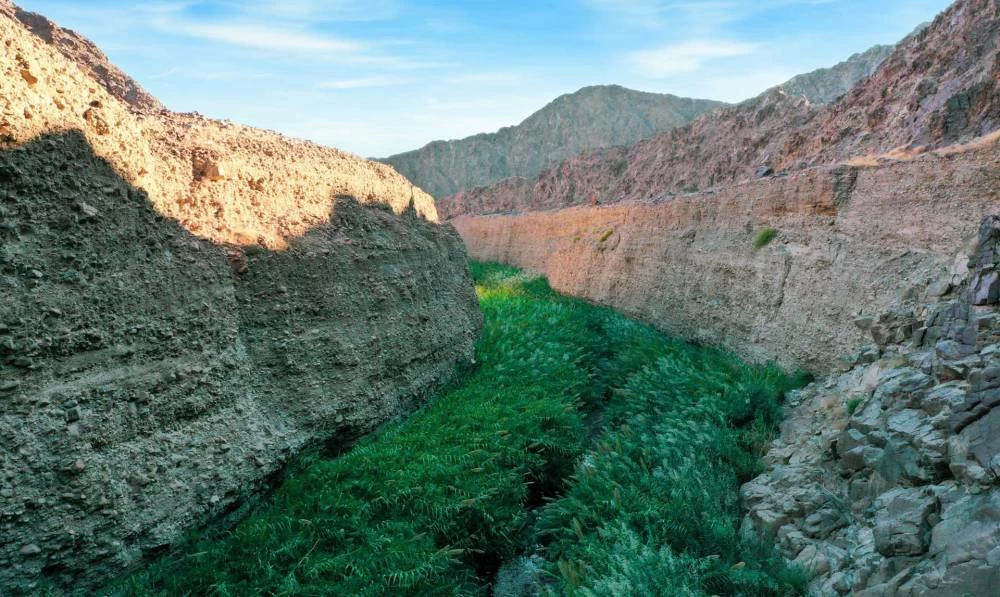 A view of Wadi Wurayah. (Image courtesy of Fujairah Tourism)