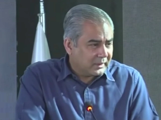 interior minister mohsin naqvi screengrab