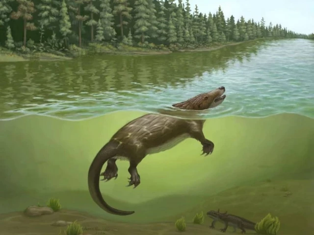 researchers believe it hunted small animals possibly in a lifestyle similar to that of the modern platypus photo xinhua